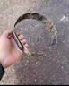 RINDU帽撑内定型帽圈固定神器帽衬立体式作训内务训练固定模型迷彩帽托 绿色帽撑【宽7.5cm】 实拍图