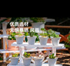 爱丽思（IRIS）花架塑料阳台置物架客厅庭院收纳架多层落地式架子多肉专用花盆架 【三层灰色】长90x宽54x高60cm 实拍图