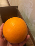 拾橙 江西赣南脐橙赣州橙子赣州橙子安远寻乌信丰脐橙 精美礼盒大果净重9斤装 实拍图