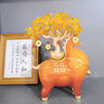 欧梵普（oufanpu）马上有钱桌面摆件乔迁之喜搬家礼物开业礼物办公室客厅玄关装饰品 马上有钱发财树摆件【米色】 【新中式招财摆件-马到成功】 实拍图