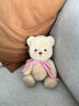 莉娜熊（TeddyTales）变身小熊玩偶毛绒玩具公仔娃娃 生日520情人节礼物送女友实用手工 奶茶色【经典色】 小号站姿约20cm 晒单实拍图