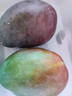 果恋汇（GUOLIANHUI）海南三亚澳芒新鲜水果超大芒果当季特大当季热带苹果芒 5斤实惠装 实拍图