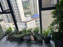 木都居 阳台花架铁艺花架绿萝多肉花盆架置物架实木多层架阳台盆架多功能 长80*宽22-高17（单个) 实拍图