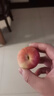 良知农哥 【顺丰】东北特产海棠果 小沙果 酸甜小苹果 龙丰果大秋果3斤30-40g 实拍图
