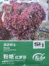 寿禾 生菜种子四季播紫色夏秋蔬菜莱种紫叶家庭种寿光菜籽叶菜种籽 粉艳红罗莎生菜种子10g 实拍图