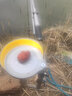 钓哈哈（Diaohaha） 拉饵盘支架多功能升降野钓地插便携式饵盘架杆炮台架户外 0.7m 加长地插+单炮台（灰色） 实拍图