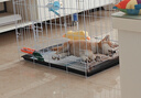 贝初众狗笼小中大型犬狗笼子猫笼带厕所加粗折叠宠物笼子柯基笼幼犬狗笼 白色加粗狗笼62*43*53【15斤内】 白色带厕所托盘 清洁方便 无毛边无倒刺不卡脚 实拍图