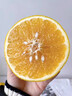 黄金葡萄柚2024年新鲜柚子当季水果福建黄肉蜜柚甜西柚整箱 带箱9斤中果【9-12个】 实拍图
