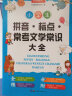 拼音标点常考语文文学常识大全 小学通用知识点  配套练习题训练讲练结合 开心教育 实拍图