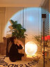 半语（BANYN) 户外防水草坪灯泳池灯月亮灯派对氛围设计创意庭院月球灯 月球灯25cm/接电款/18w 晒单实拍图