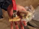 水传芳牌黄铜球阀全铜螺纹双内丝自来水开关铜阀门燃气开关家用多种规格可选 6分 DN20 3/4 实拍图