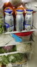蒙牛冠益乳发酵乳/早八吨吨益生菌酸奶发酵奶增强免疫力聚餐休闲饮品 100g*24瓶 冠益乳发酵菌（整箱） 实拍图