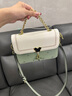 塔驰密司 新年包包品牌奢侈单肩斜挎包女士七夕情人节送女友老婆生日礼物 白绿色 实拍图