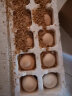 白荡里农家散养土鸡蛋正宗新鲜营养柴鸡蛋草鸡蛋笨鸡蛋特产单枚40g-45g 8枚土鸡蛋 实拍图