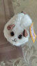 昙蓓漫拉绳摇尾巴玩具小猫咪毛绒公仔会动的网红小猫咪卡通玩偶拉线转圈 【毛绒可爱】拉绳驱动猫咪 17cm拉绳可摇尾巴 实拍图