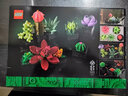 乐高（LEGO）创意永生花束成人粉丝收藏款情人节新年礼物摆件拼搭积木模型玩具 10309 肉质植物 实拍图