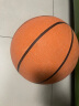 驯良鸽 可移动篮球架户外 高度可调节升降标准家用篮球框架蓝球架子 成人款（篮框高度1.5-3.05米） 实拍图