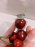 马保果3J车厘子山东美早樱桃新鲜樱桃水果当季孕妇水果礼盒国产车厘子 1斤(净重)  精选装大樱桃 实拍图