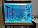 森森（SUNSUN） 超白玻璃小鱼缸客厅小型桌面家用水族箱生态免换水金鱼缸 HE600+假山景2套ZJ-18(内置棉和滤材) 实拍图