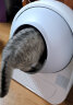 CATLINK自动猫砂盆智能电动猫厕所全封闭特大号铲屎机隔臭防外溅 升级款 ProX高配版 实拍图