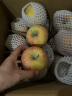 京鲜生新疆阿克苏苹果8.5斤 单果80-85mm 新鲜水果 源头直发包邮 晒单实拍图