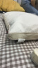 京东京造 经典荞荞枕 荞麦填充透气高度可调花草枕头枕芯 实拍图