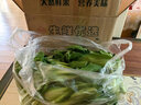 皓谦上海青小油菜新鲜蔬菜小青菜绿叶菜小白菜 农家自种蔬菜类小青菜 3斤 实拍图