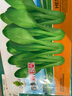 花语笙默四季播种蔬菜种子家庭种菜盆栽田园地栽菜种易种植易生长瓜果菜籽 上海青种子（约1500粒） 原厂封装1袋 实拍图