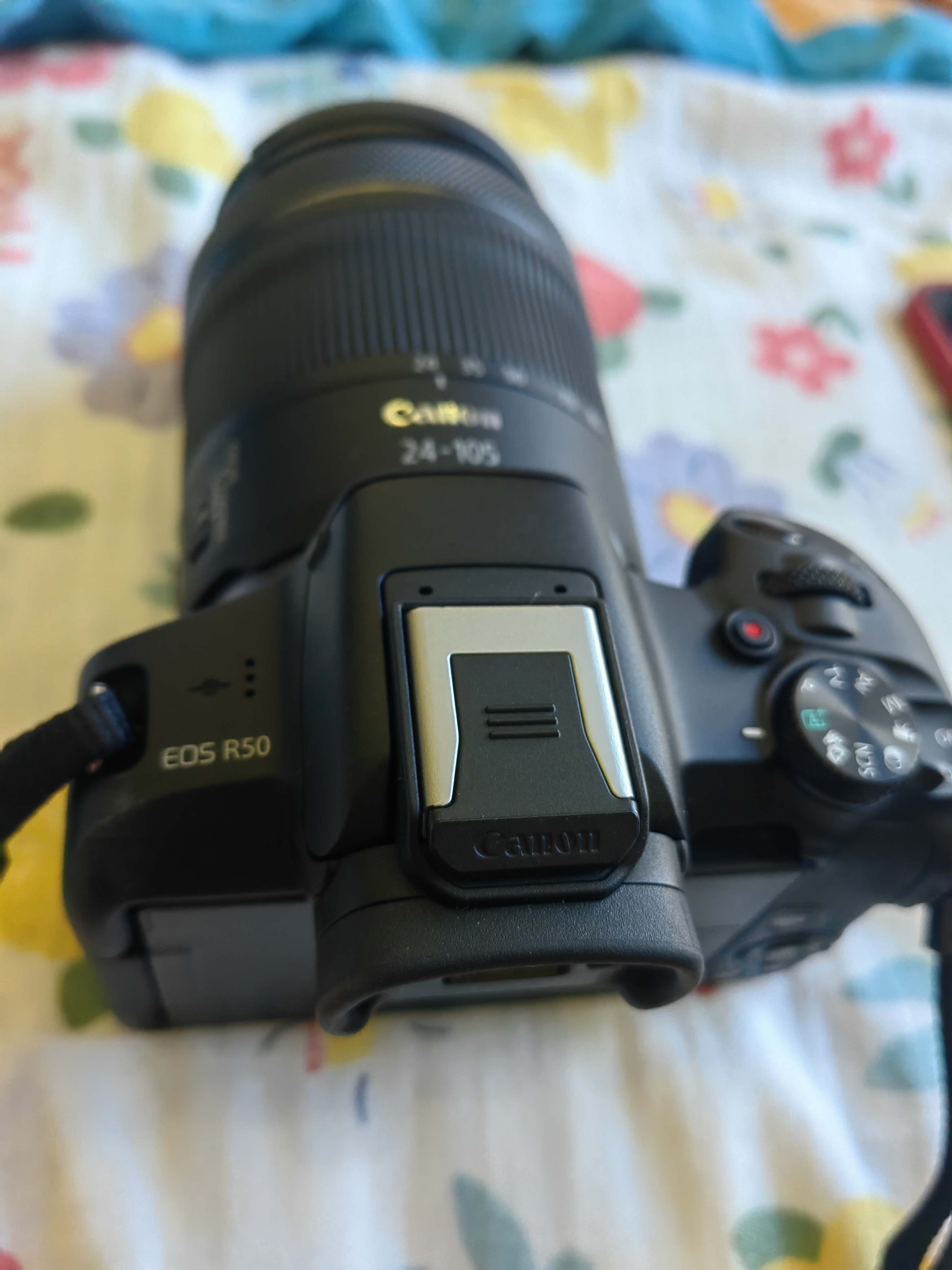 佳能（Canon）EOS R50微单相机 入门级半画幅 旅行家用学生vlog 4k视频小巧便携 r50数码照相机 R50黑色单机身【原包装 不含镜头】 官方标配【咨询客服领加购福利】 实拍图