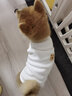 宠星记 宠物衣服 小型犬狗狗 小猫咪 冬季居家防飘毛 泰迪比熊雪纳瑞 白色小号M 胸围31-36cm 实拍图