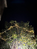 墨斗鱼新年装饰彩灯氛围灯LED灯小彩灯元宵门厅走廊室外庭院花园挂灯 实拍图