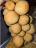 稻道鲜龙宫果泰国进口5斤可选新鲜热带水果龙贡果孕妇整箱高端品种 颗颗甄选 净重1000g 晒单实拍图