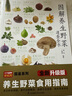 图解本草纲目五色蔬果对症速查全书   五色蔬果，安养五脏，高清美图，文字通俗 实拍图