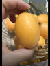 译蒙之味【顺丰速运】四川攀枝花米易甜枇杷新鲜水果当季孕妇大五星甜琵琶 净重5斤大果【单果30g-40g】彩箱 实拍图