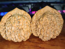 山中玉文玩核桃一对一图狮子头官帽实拍四座楼手把件古麻核头生日礼物 新43mm满天星狮子头-32381 实拍图