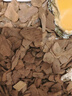 C-LEEN森林地表垫材爬宠垫材守宫蜥蜴乌龟专用造景垫材 真森林地表【4L/袋】 实拍图