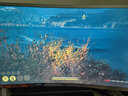 庆扬英特尔13代i7酷睿i9 RTX4060台式电脑主机黑神话悟空游戏办公设计师视频剪辑水冷组装电脑整机全套 六：13代i7/32G/1T/RTX3070独显 主机 实拍图