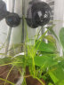 森森（SUNSUN）鱼缸冲浪泵水族箱造浪泵横流造流泵 JVP-100A 3w适合0.6米以下的鱼缸 实拍图