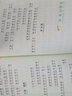 金波四季美文注音版童话全套4册 树和喜鹊沙滩上的童话雨点儿阳光一年级阅读课外书必读人教版课文 实拍图