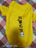 嬉皮狗（hipidog） 狗狗衣服秋冬季泰迪衣服小型犬保暖打底衫防掉毛比熊幼犬衣服 黄色条纹 XL (建议体重11-16斤) 实拍图