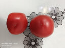 京百味 云南硬粉番茄 1.25kg 简装 新鲜蔬菜 实拍图