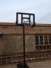 双航 篮球架 室内家用篮球框球架 户外可升降可移动标准高度篮球架 019成人手拉款(篮筐1.7-3.05米) 实拍图