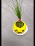 易囍艺长草娃娃浇水草头娃娃可爱迷你植物小盆栽幼儿园儿童创意礼物水培 随机表情罐1个+土+种子 实拍图