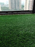 乐子君 仿真草坪人造草坪地毯草皮塑料假草皮阳光房隔热 30mm春绿1平方 实拍图