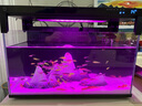 小米米家智能鱼缸小型客厅办公室桌面一键换水远程喂食超白玻璃生态缸 小米米家智能鱼缸 实拍图