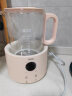 海尔恒温水壶恒温壶婴儿调奶器冲奶粉温热暖奶器电热烧水壶家用H206F 实拍图