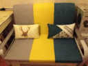 幻术家 折叠沙发床两用可拆洗客厅小户型双人沙发布艺多功能现代简约 1.2米款 7cm海绵垫-颜色备注 送货上门（可自行组装，很简单） 实拍图