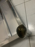 法耐（FANAI） 厨房洗菜盆单眼不锈钢水槽带支架带刀架双盆台面一体洗碗水池 【左单槽】100*50*85cm旗舰特厚 不锈钢单冷龙头套餐【80%选择】 实拍图