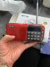 先科（SAST） N28收音机老年人V60便携式迷你播放器充电V30插卡广播随身听音乐听歌半导体戏曲唱戏机 N28中国红+8G内存卡 实拍图