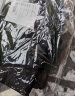 贝阳（beiyang）摄影背景支架80*200中号T型架柔光纸背景布架子摄影器材影棚配件便携金属背景架(送2只大力夹) 晒单实拍图